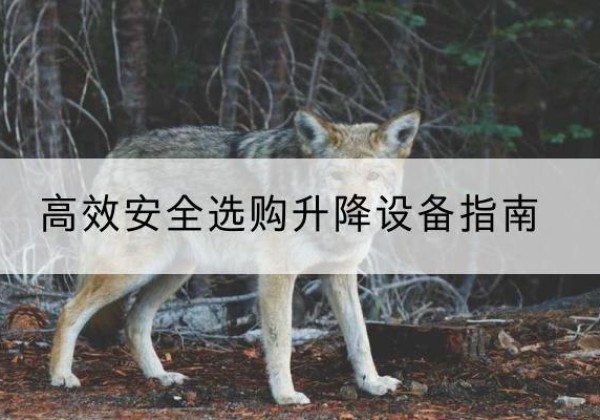 双江升降货梯厂家推荐-*安全选购升降设备指南