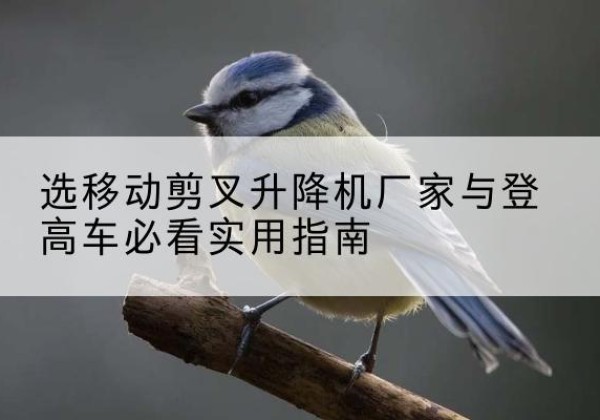 双江电动升降机厂家-选移动剪叉升降机厂家与登高车必看实用指南